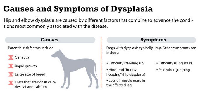 causes and symptoms of dysplasia